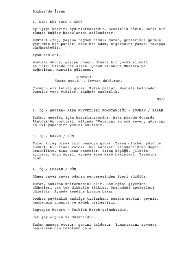 Bozkır'da İsyan first page