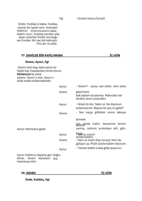 İNTİKAM YOLUNDA AŞK sample page thumbnail